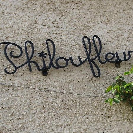 Philoufleur - Gite Restaure En Campagne Chaneins Exteriér fotografie